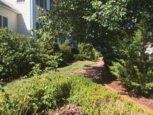 9 Sadie Circle Easton, MA 02375 - Photo 3 of 21