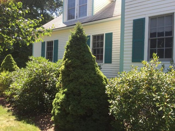 9 Sadie Circle Easton, MA 02375 - Photo 7 of 21