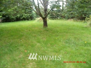 130 Hinkley Road Toledo, WA 98591 - Photo 7 of 15