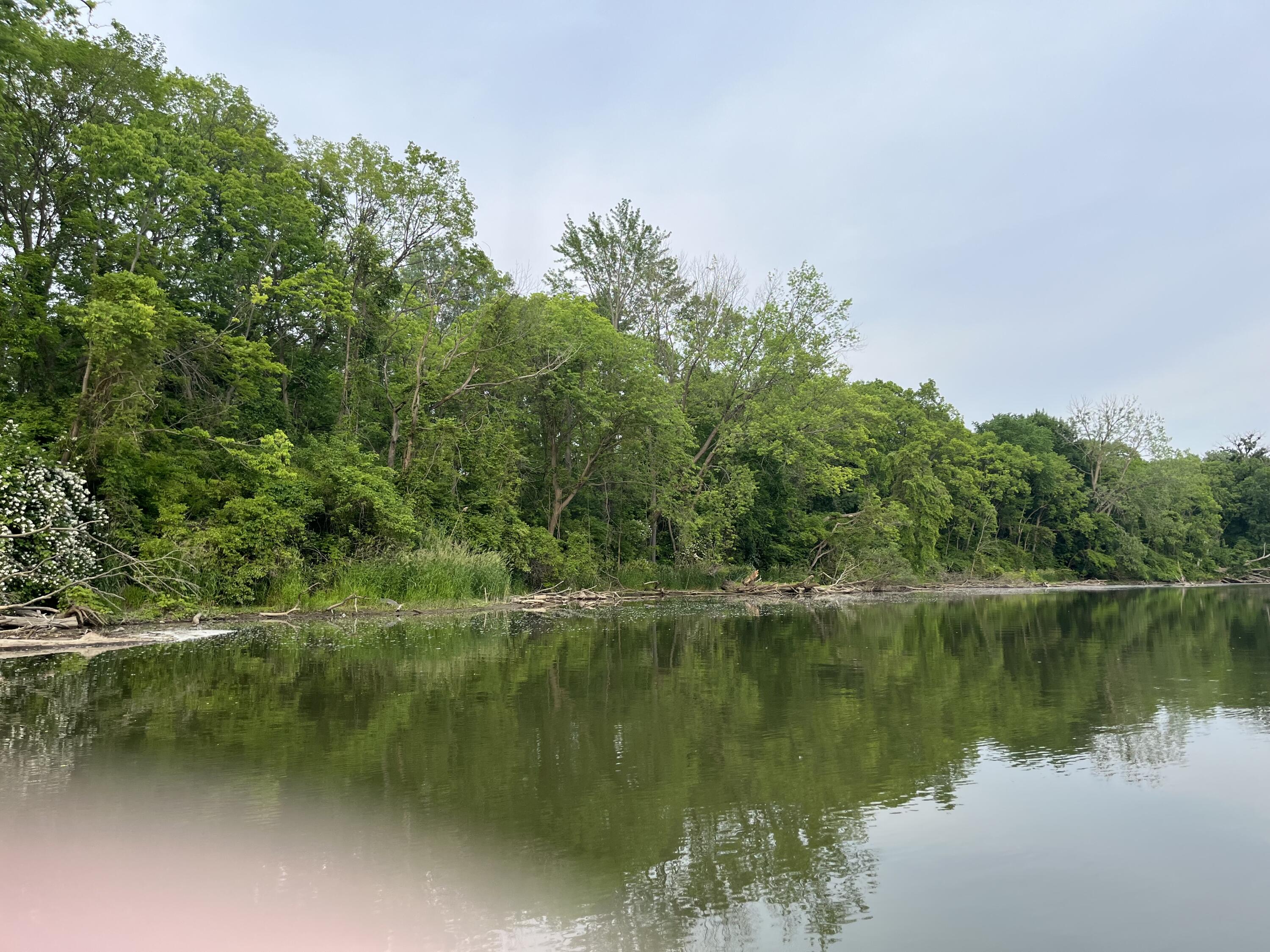 38 Riverside Drive Mount Clemens, MI 48043 - Photo 12 of 45 IMG_1539