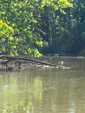 $300,000 | 38 Riverside Drive, Mount Clemens, MI 48043