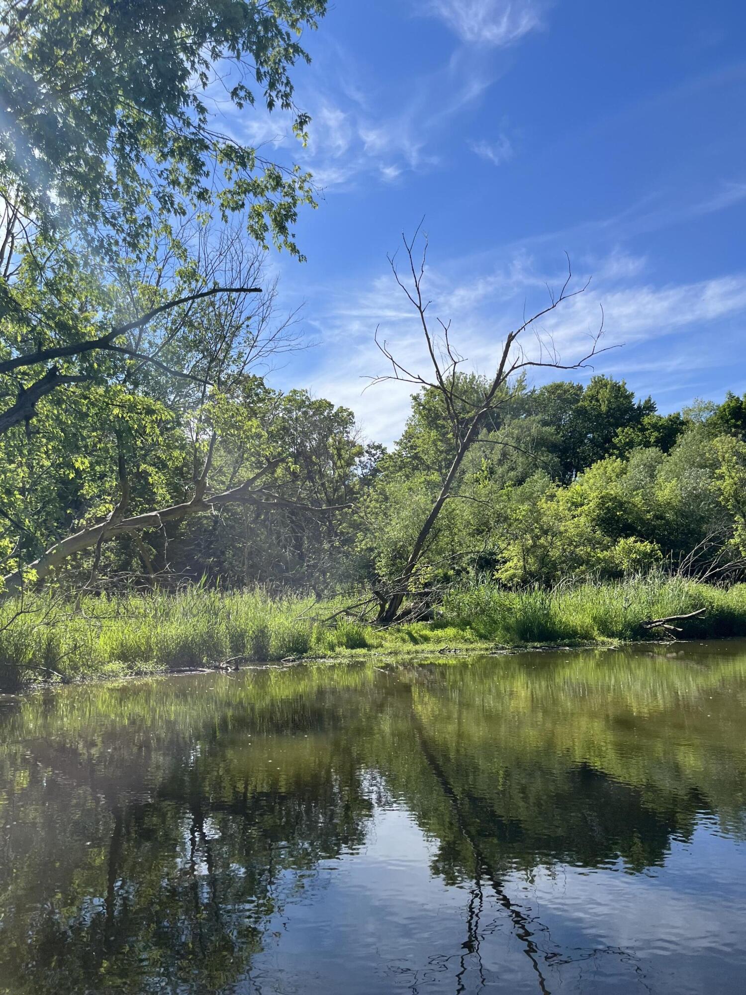 38 Riverside Drive Mount Clemens, MI 48043 - Photo 14 of 45 IMG_9048