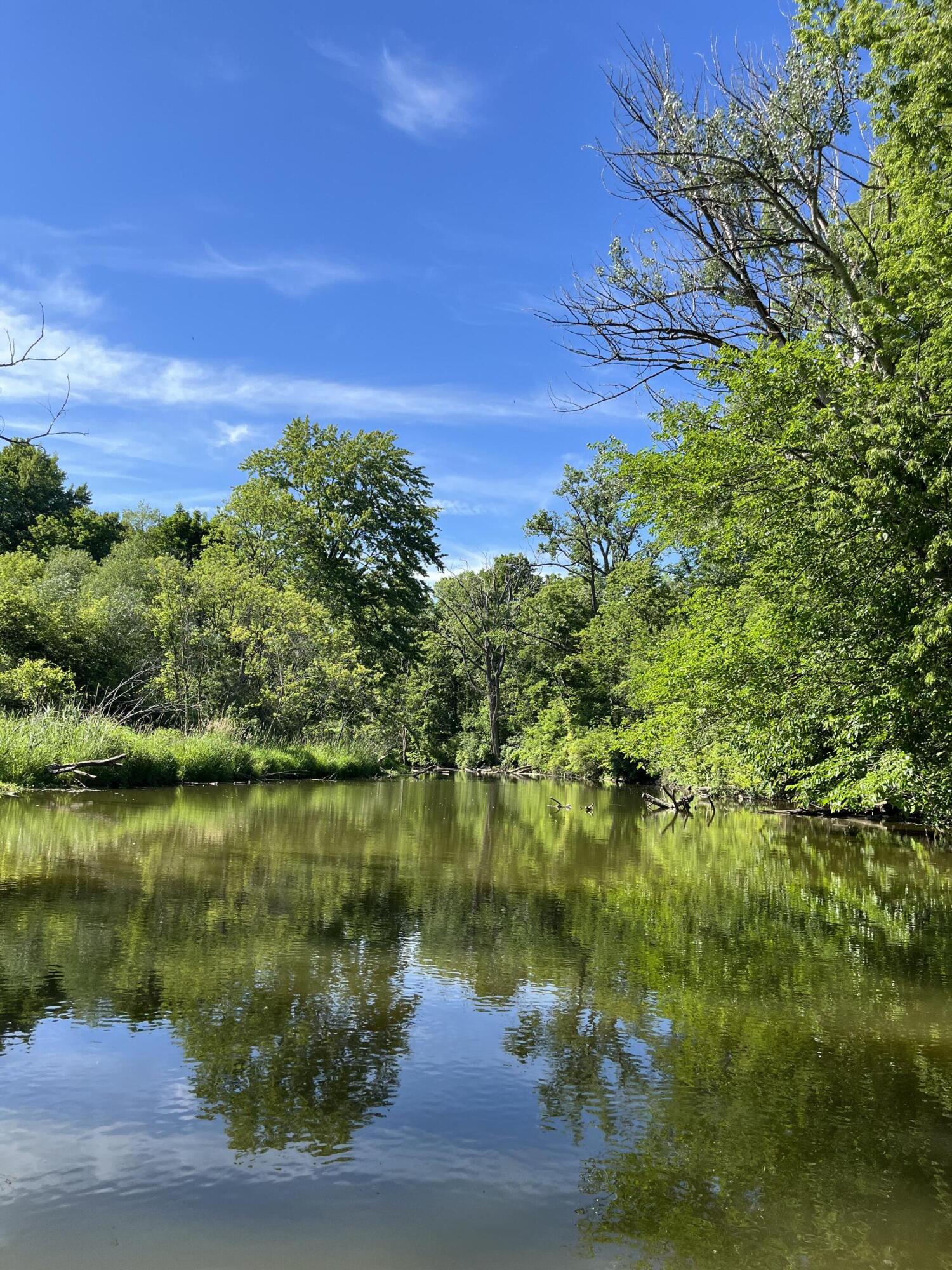 38 Riverside Drive Mount Clemens, MI 48043 - Photo 15 of 45 IMG_9047