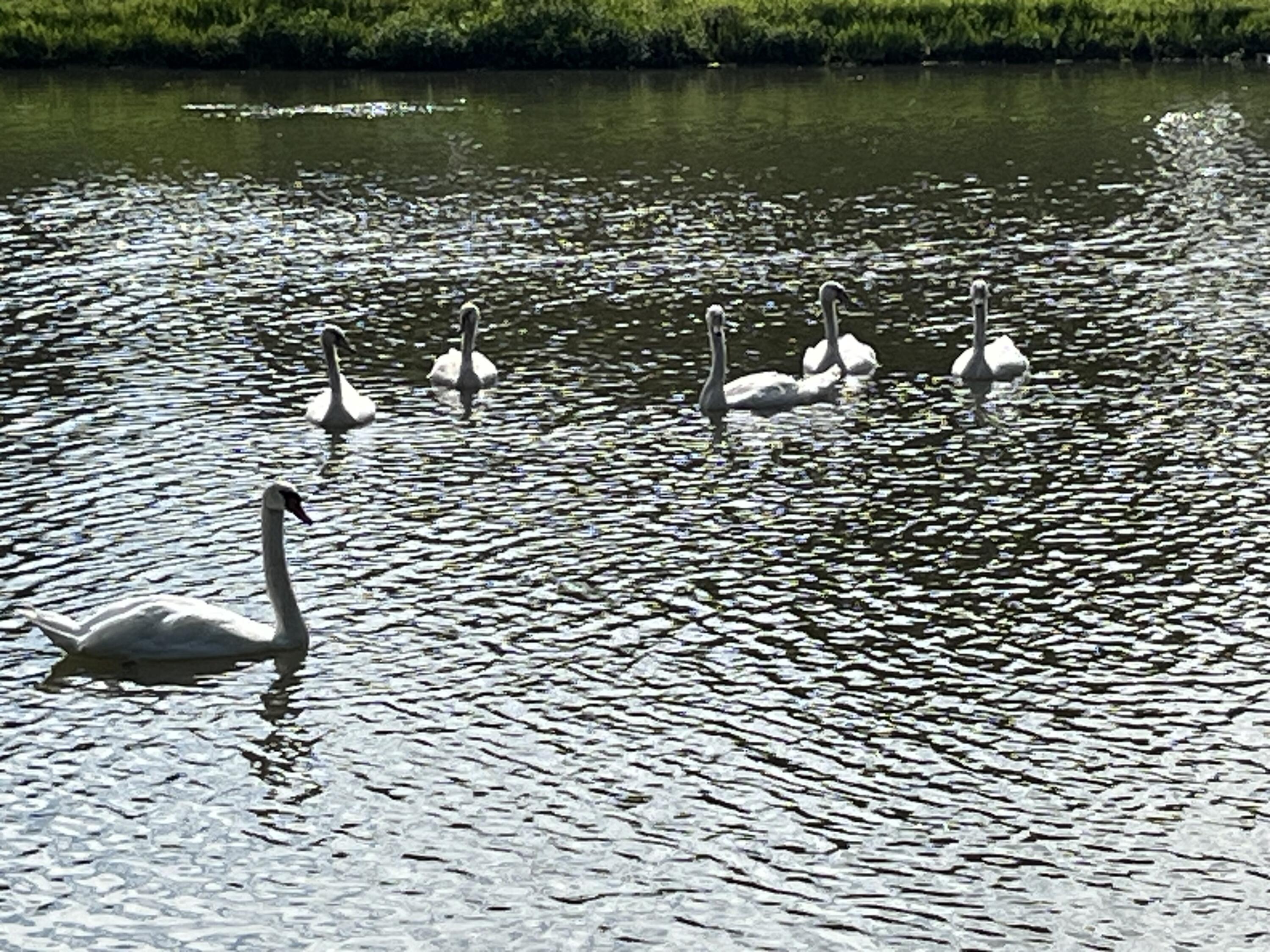 38 Riverside Drive Mount Clemens, MI 48043 - Photo 16 of 45 IMG_9361