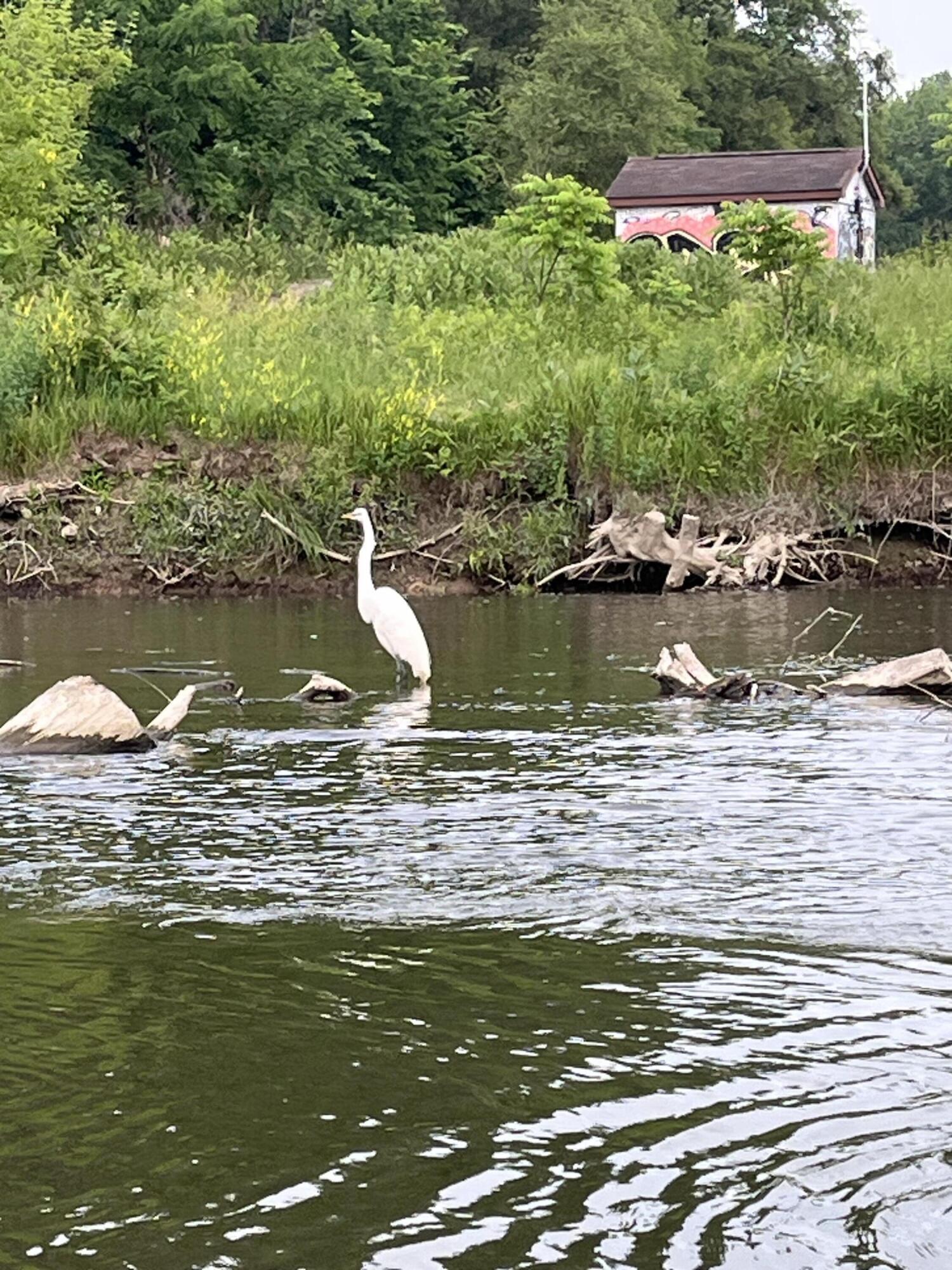 38 Riverside Drive Mount Clemens, MI 48043 - Photo 17 of 45 IMG_1545