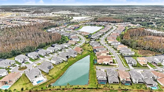 a view of a house with a yard and a palm tree