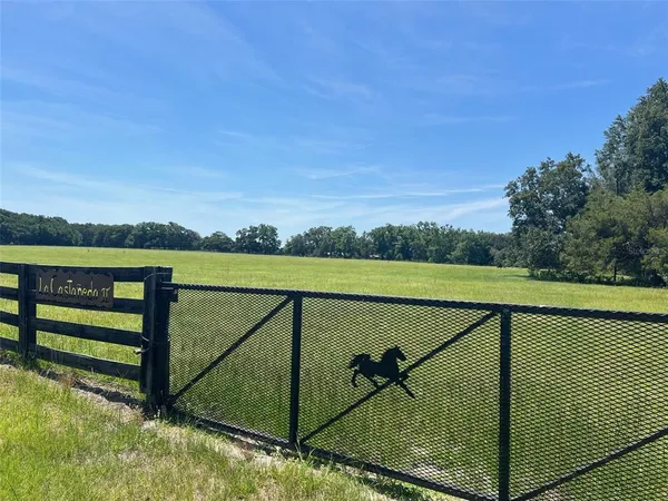 a view of outdoor space and city view