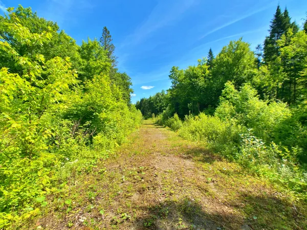 $219,900 | M11-l114.5g New Sweden Road, New Sweden, ME 04762