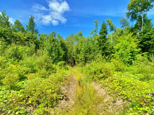 $219,900 | M11-l114.5g New Sweden Road, New Sweden, ME 04762