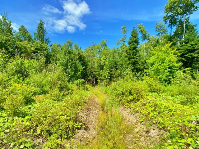 $266,000 | M11-l114.5g New Sweden Road, New Sweden, ME 04762