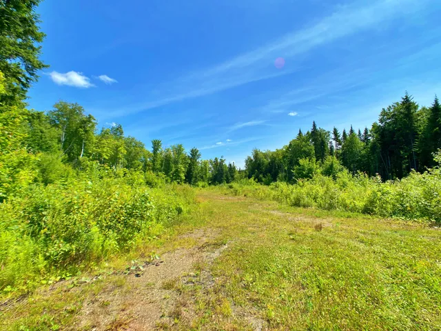 $266,000 | M11-l114.5g New Sweden Road, New Sweden, ME 04762