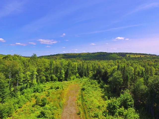 $266,000 | M11-l114.5g New Sweden Road, New Sweden, ME 04762