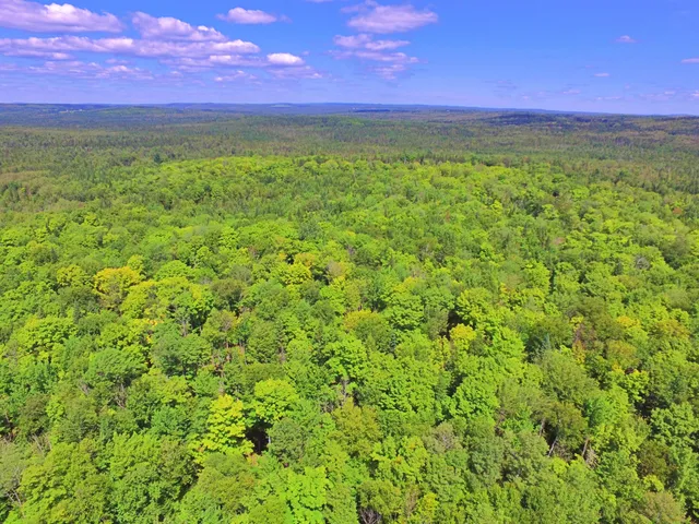 $266,000 | M11-l114.5g New Sweden Road, New Sweden, ME 04762