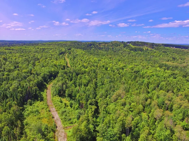 $266,000 | M11-l114.5g New Sweden Road, New Sweden, ME 04762