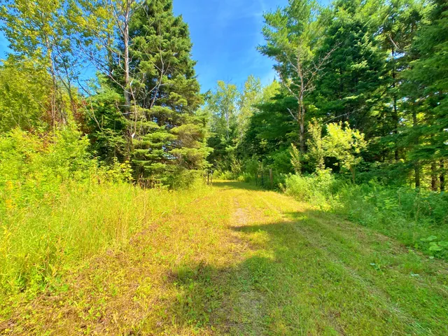 $266,000 | M11-l114.5g New Sweden Road, New Sweden, ME 04762