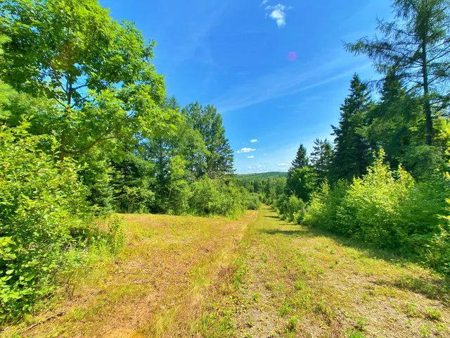 $266,000 | M11-l114.5g New Sweden Road, New Sweden, ME 04762