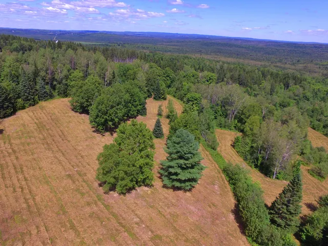 $266,000 | M11-l114.5g New Sweden Road, New Sweden, ME 04762