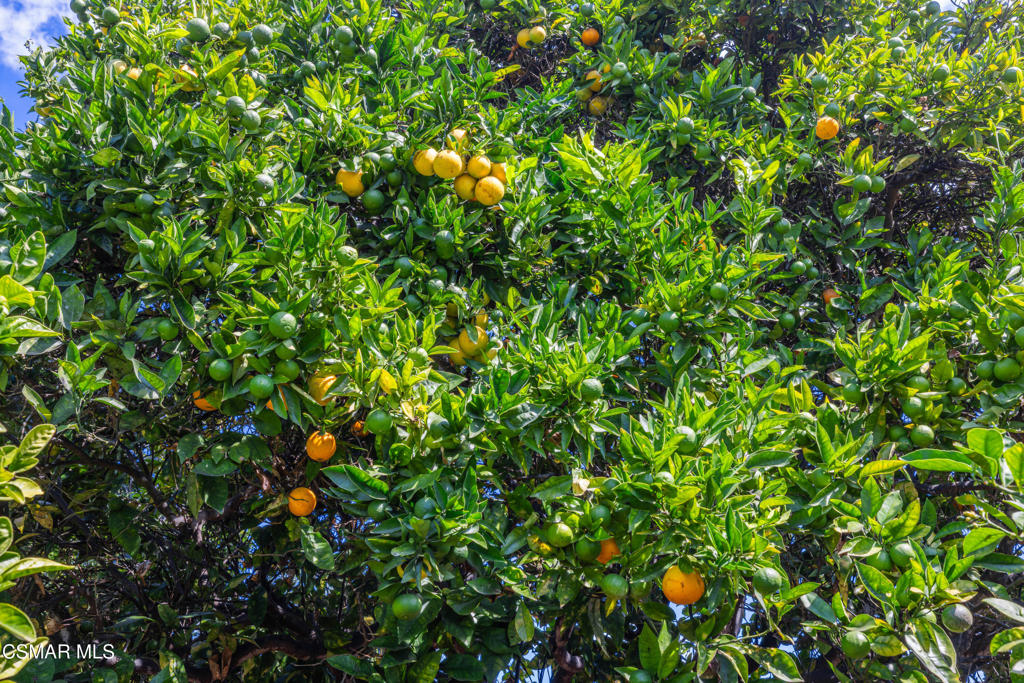 1884 Channel Drive Ventura, CA 93001 - Photo 49 of 62