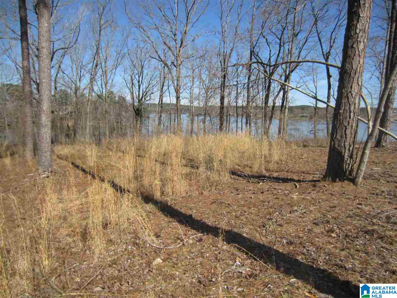 0 Timber Trail, Unit 28 Sylacauga, AL 35151 - Photo 6 of 22