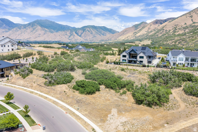 3383 South Mapleton Estates Drive, Unit 18 Mapleton, UT 84664 - Photo 6 of 11 Expansive property featuring undeveloped land with natural vegetation and a paved road frontage