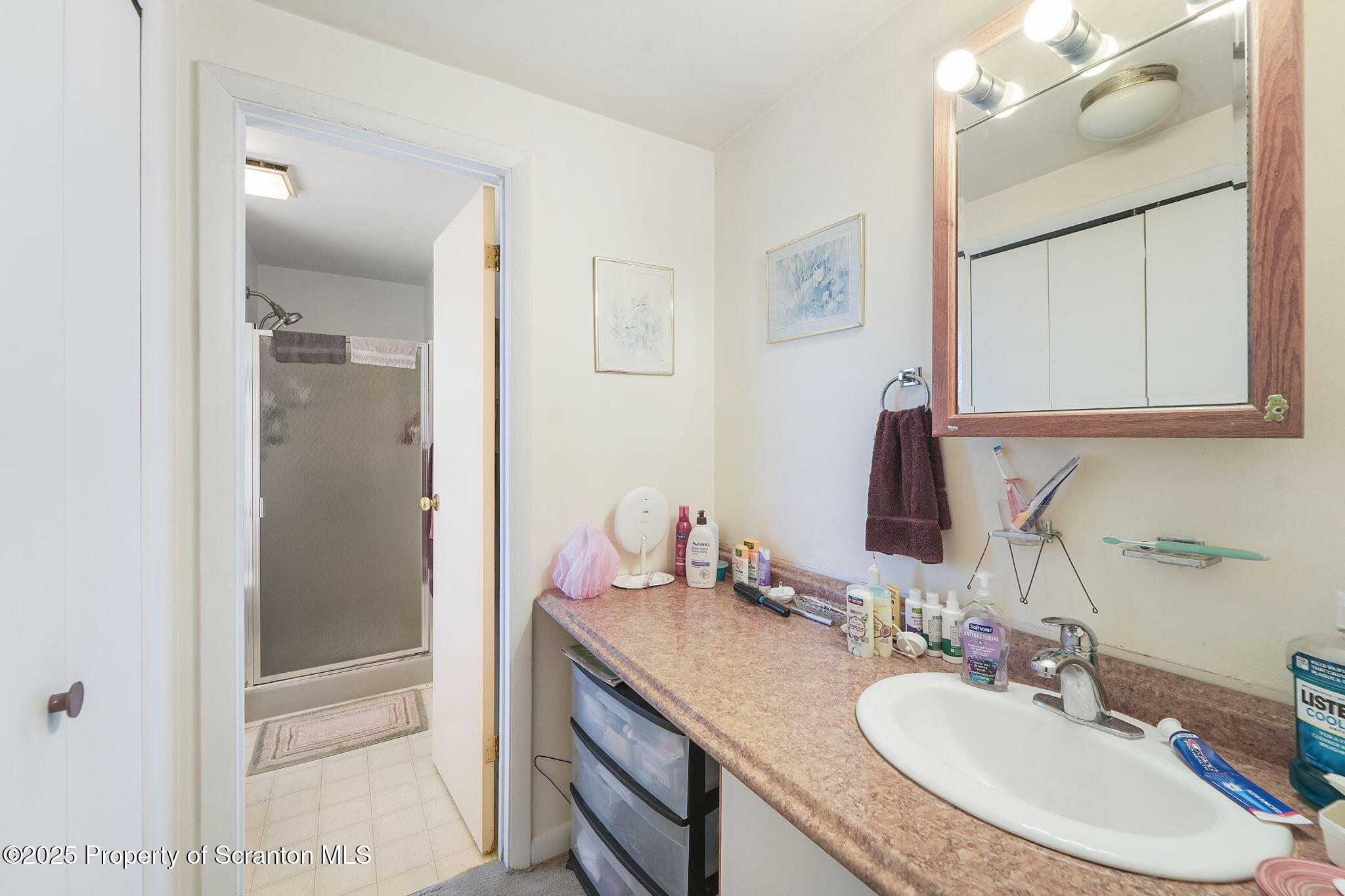1023 McCormick Road Brackney, PA 18812 - Photo 13 of 25 Primary Bathroom