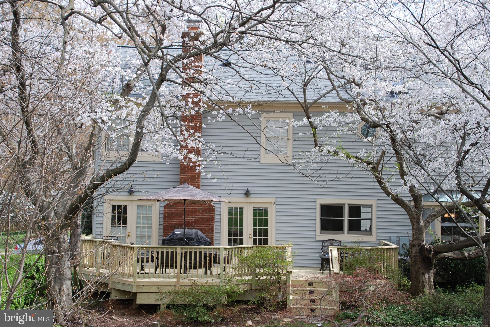 6108 Eagle Landing Road Burke, VA 22015 - Photo 46 of 52 Gorgeous! Rear of home framed by Spring Blossoms.