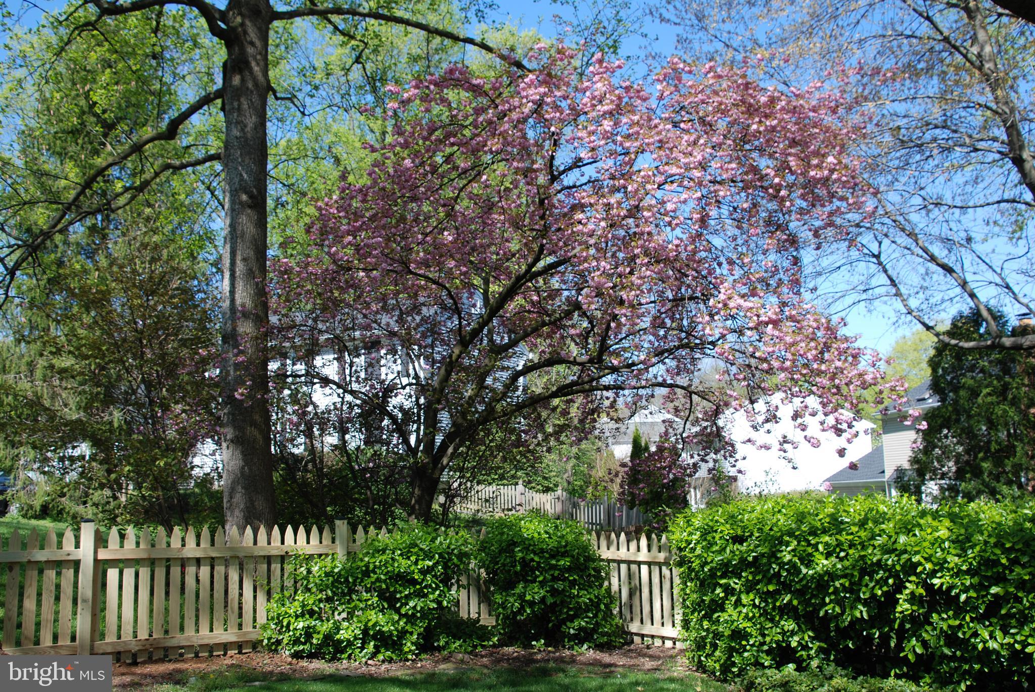 6108 Eagle Landing Road Burke, VA 22015 - Photo 47 of 52 New fence surrounding lovely rear yard.