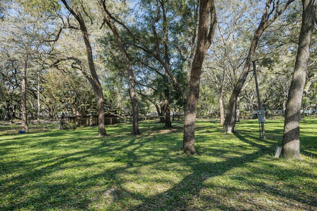 16314 Tiger Trail Spring Hill, FL 34610 - Photo 3 of 43 a big yard with lots of green space and trees