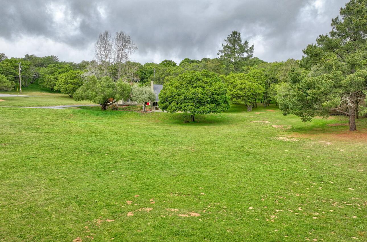 744 Seely Avenue Aromas, CA 95004 - Photo 11 of 55 a view of a big yard with plants and a large tree