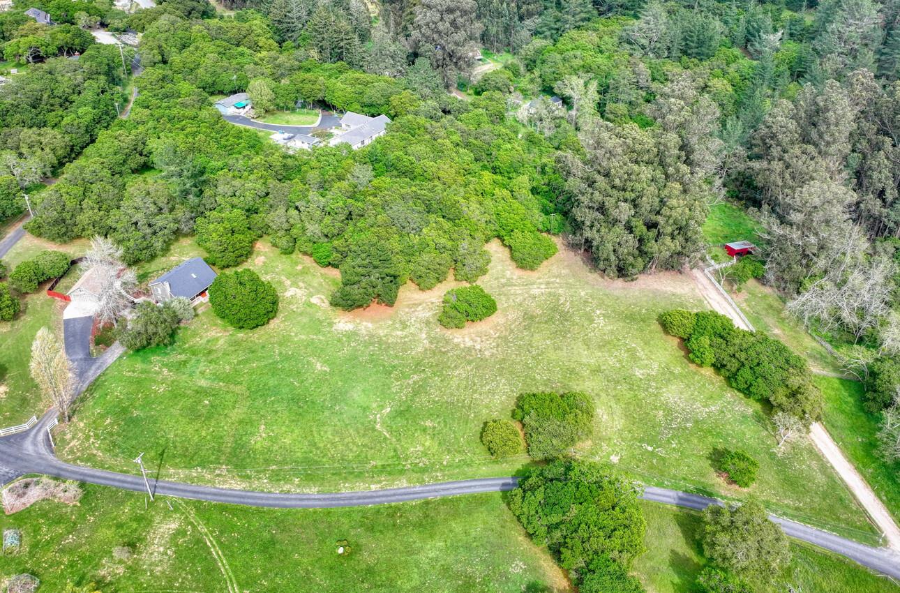 744 Seely Avenue Aromas, CA 95004 - Photo 2 of 55 a view of a plant in a garden