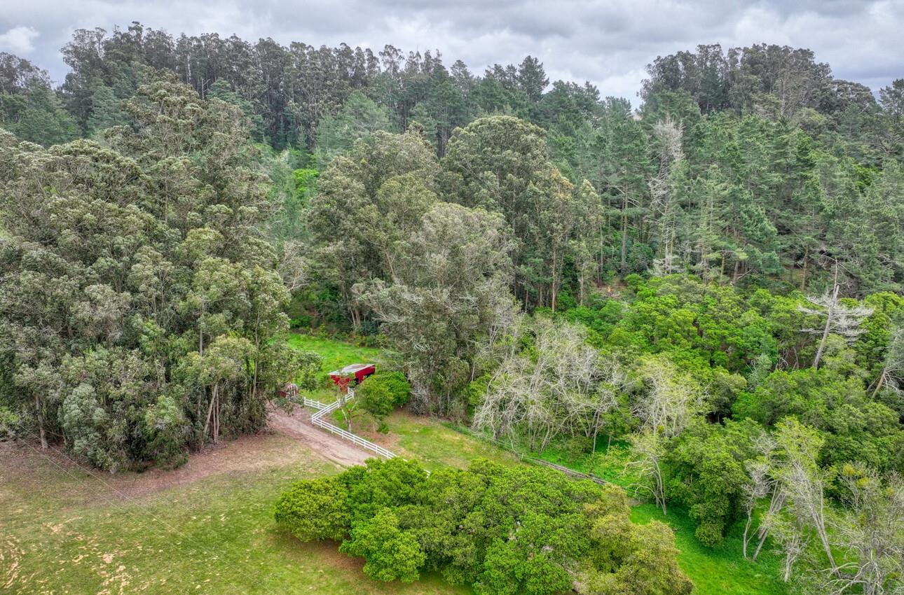 744 Seely Avenue Aromas, CA 95004 - Photo 6 of 55 an aerial view of a houses with trees