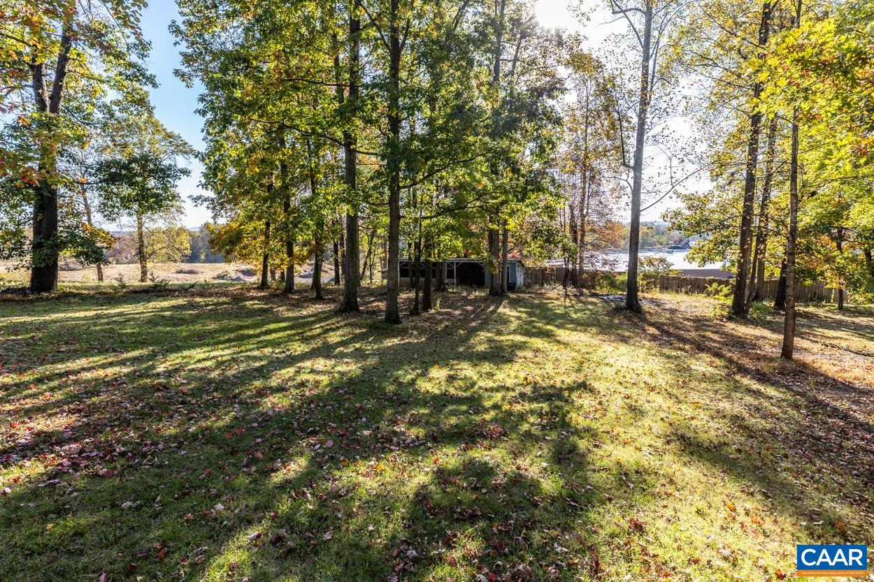 435 Courthouse Mountain Road Madison, VA 22727 - Photo 8 of 69 a view of a yard with a tree