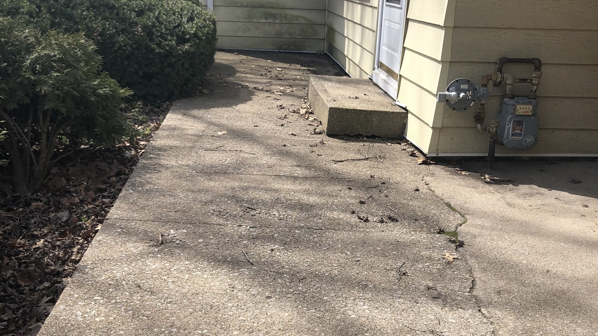 19020 Springfield Avenue Flossmoor, IL 60422 - Photo 19 of 25 a view of a pathway with a yard