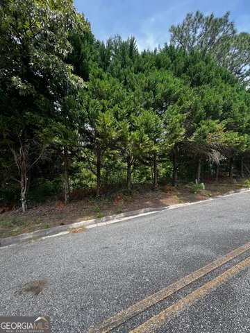 a view of a yard with plants and a trees