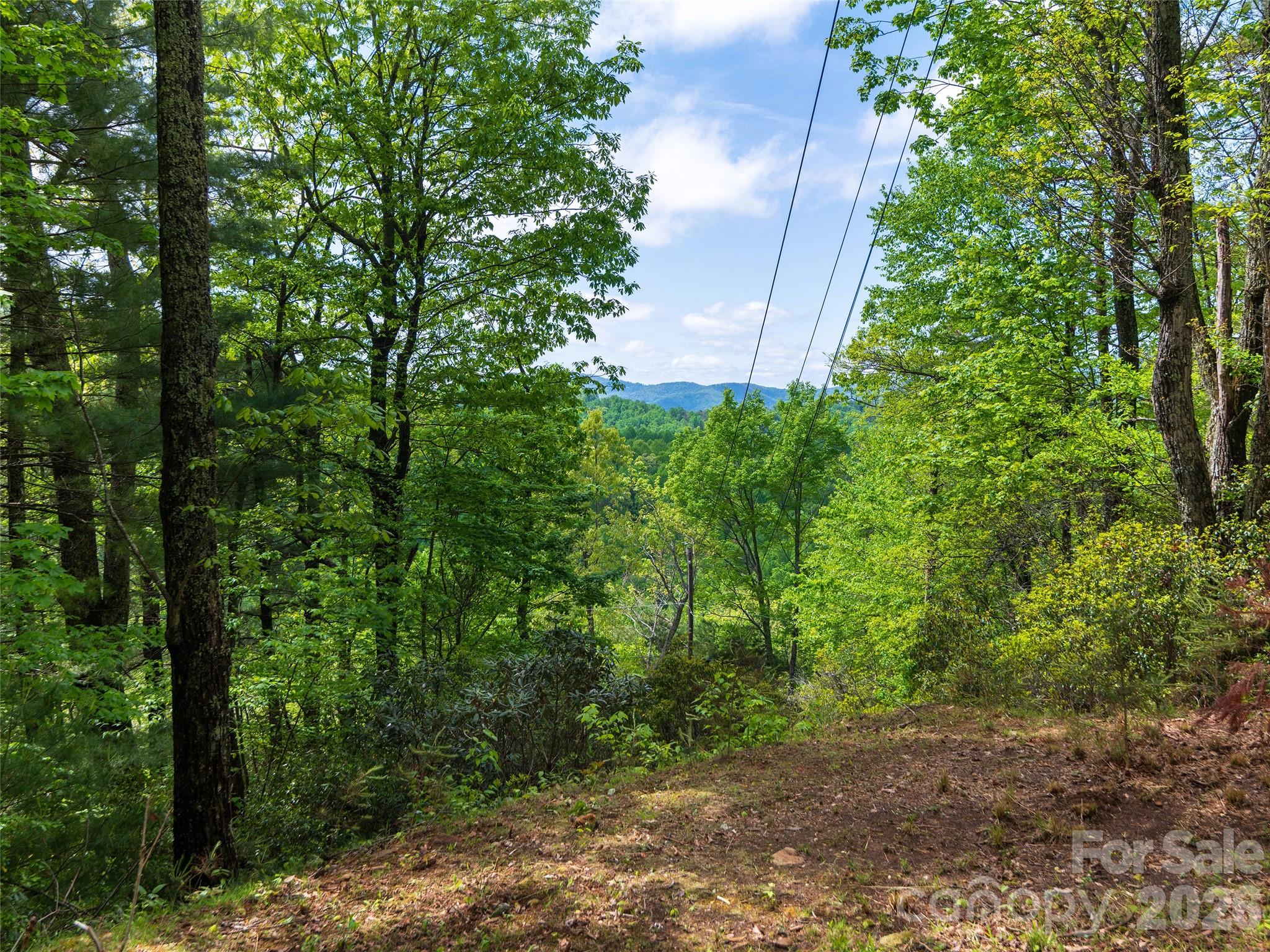 209 Ivy Hill Road Hendersonville, NC 28792 - Photo 33 of 40