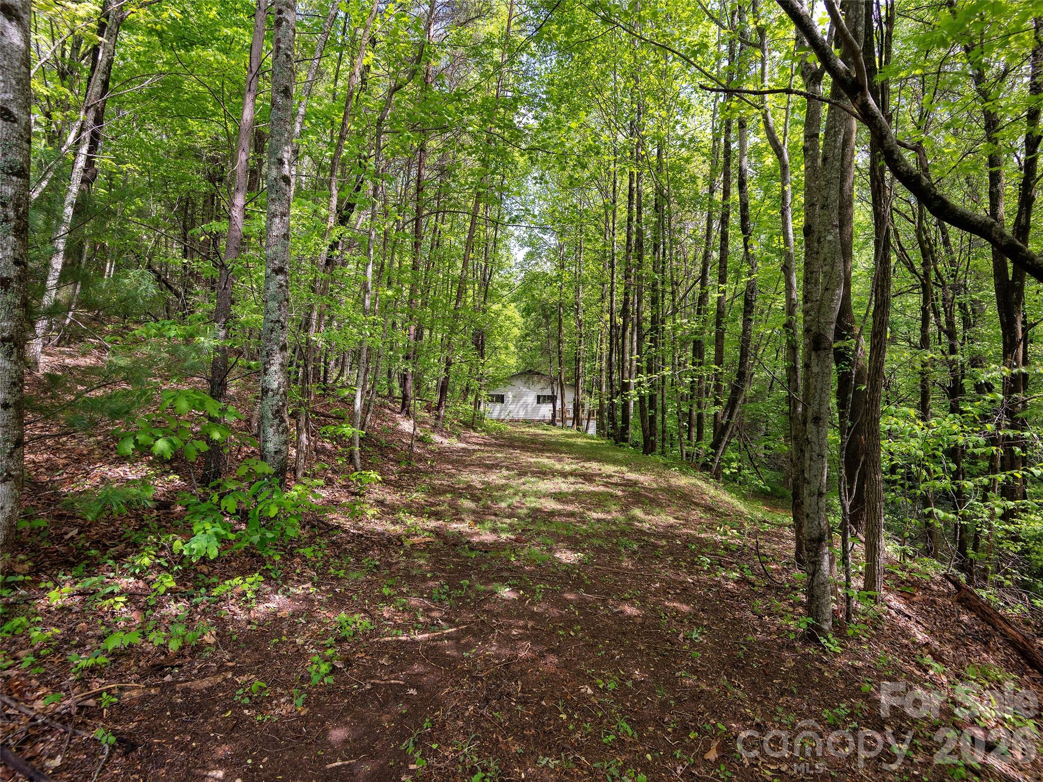 209 Ivy Hill Road Hendersonville, NC 28792 - Photo 34 of 40