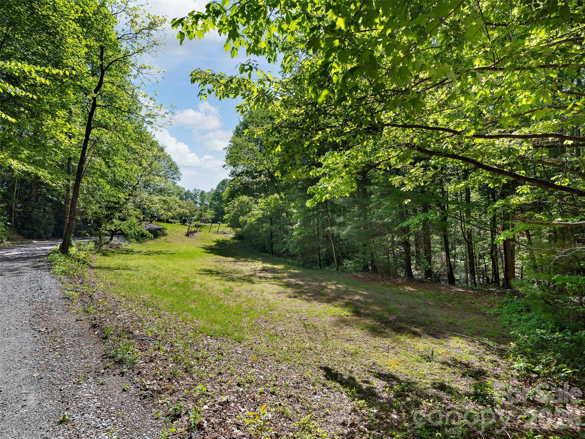 209 Ivy Hill Road Hendersonville, NC 28792 - Photo 35 of 40