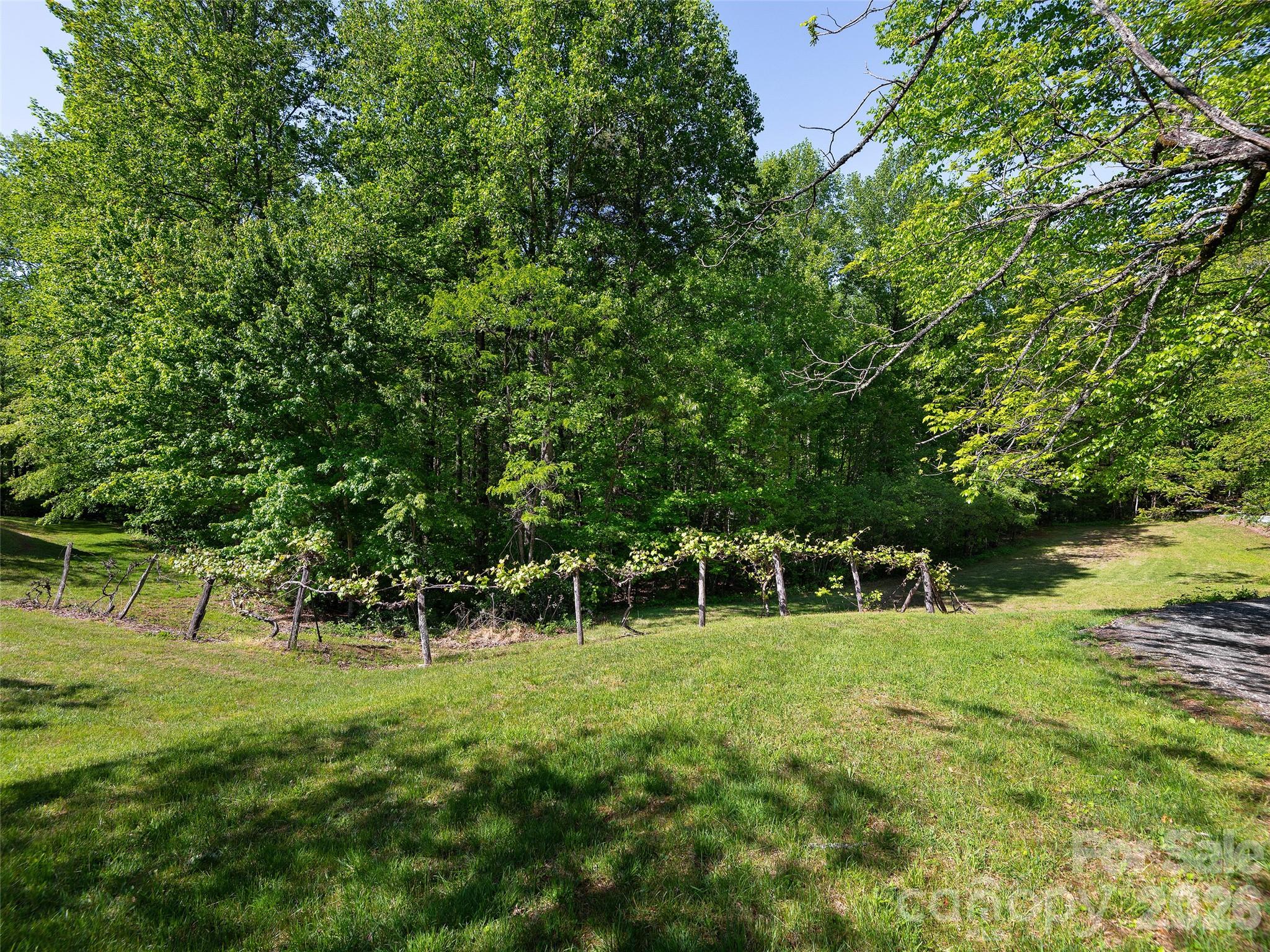 209 Ivy Hill Road Hendersonville, NC 28792 - Photo 36 of 40