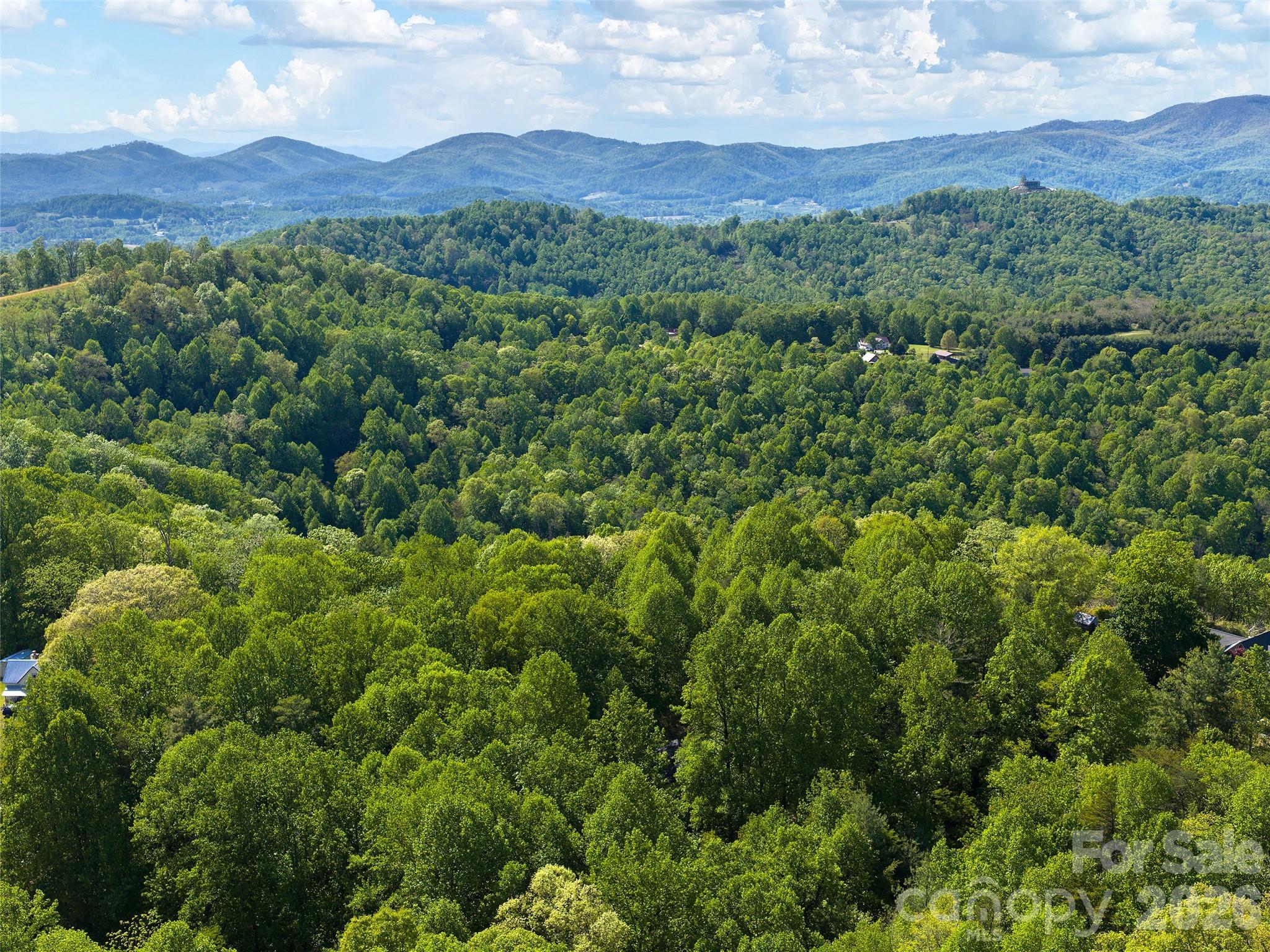 209 Ivy Hill Road Hendersonville, NC 28792 - Photo 38 of 40
