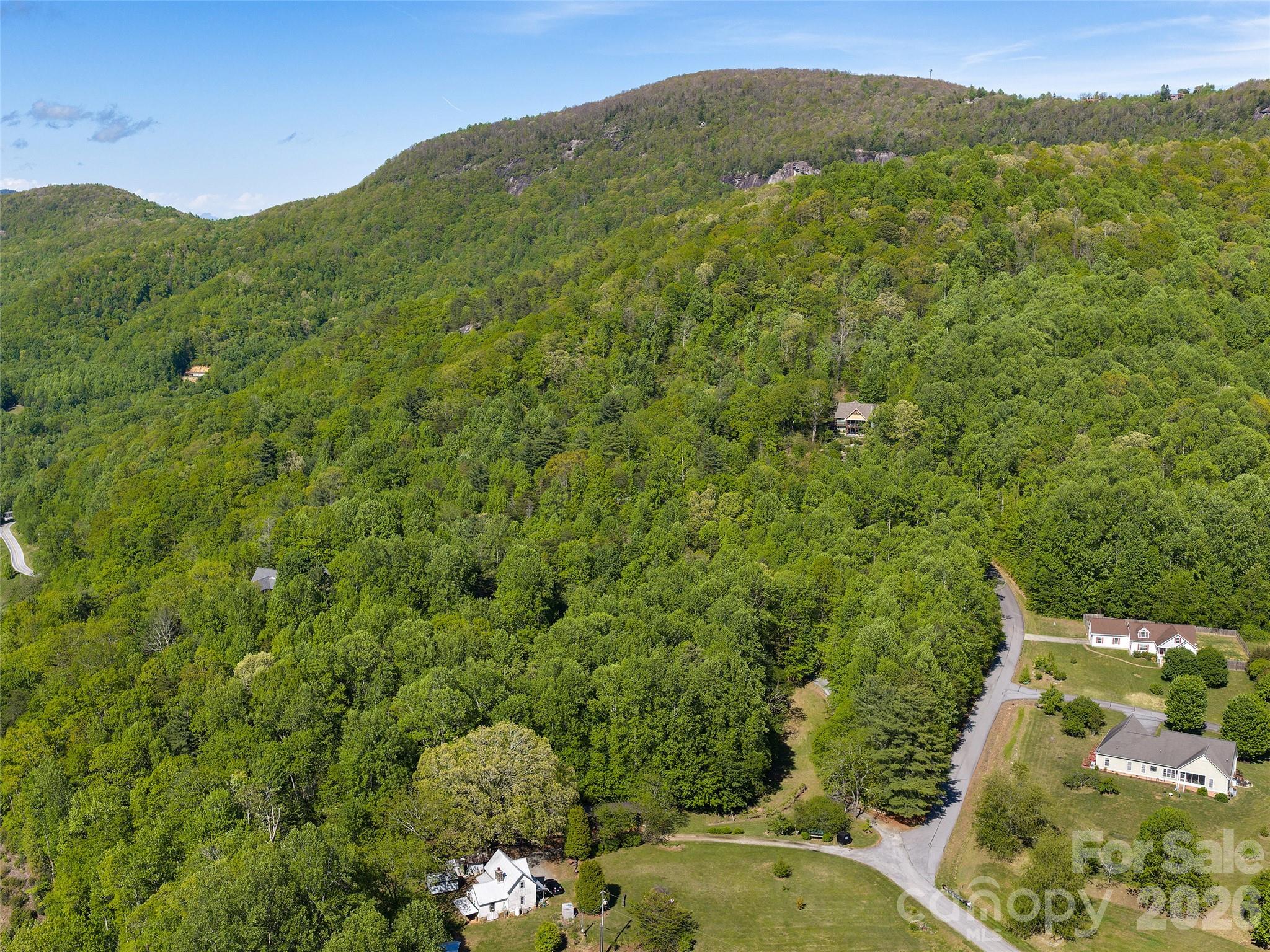 209 Ivy Hill Road Hendersonville, NC 28792 - Photo 39 of 40