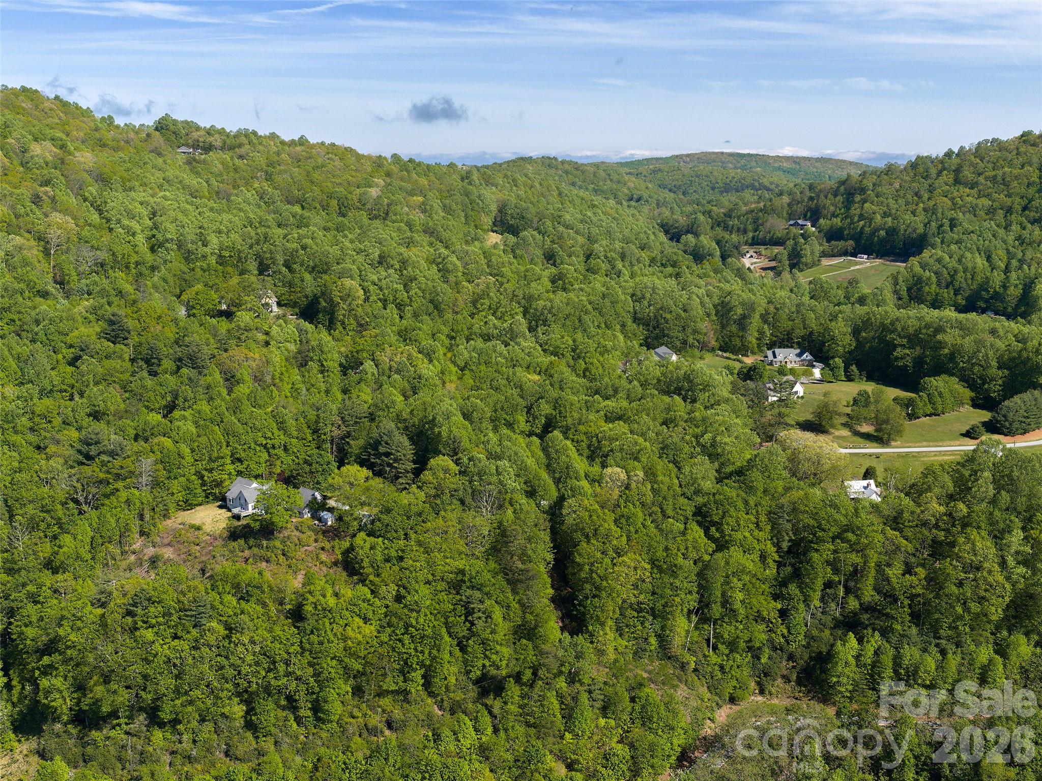 209 Ivy Hill Road Hendersonville, NC 28792 - Photo 40 of 40