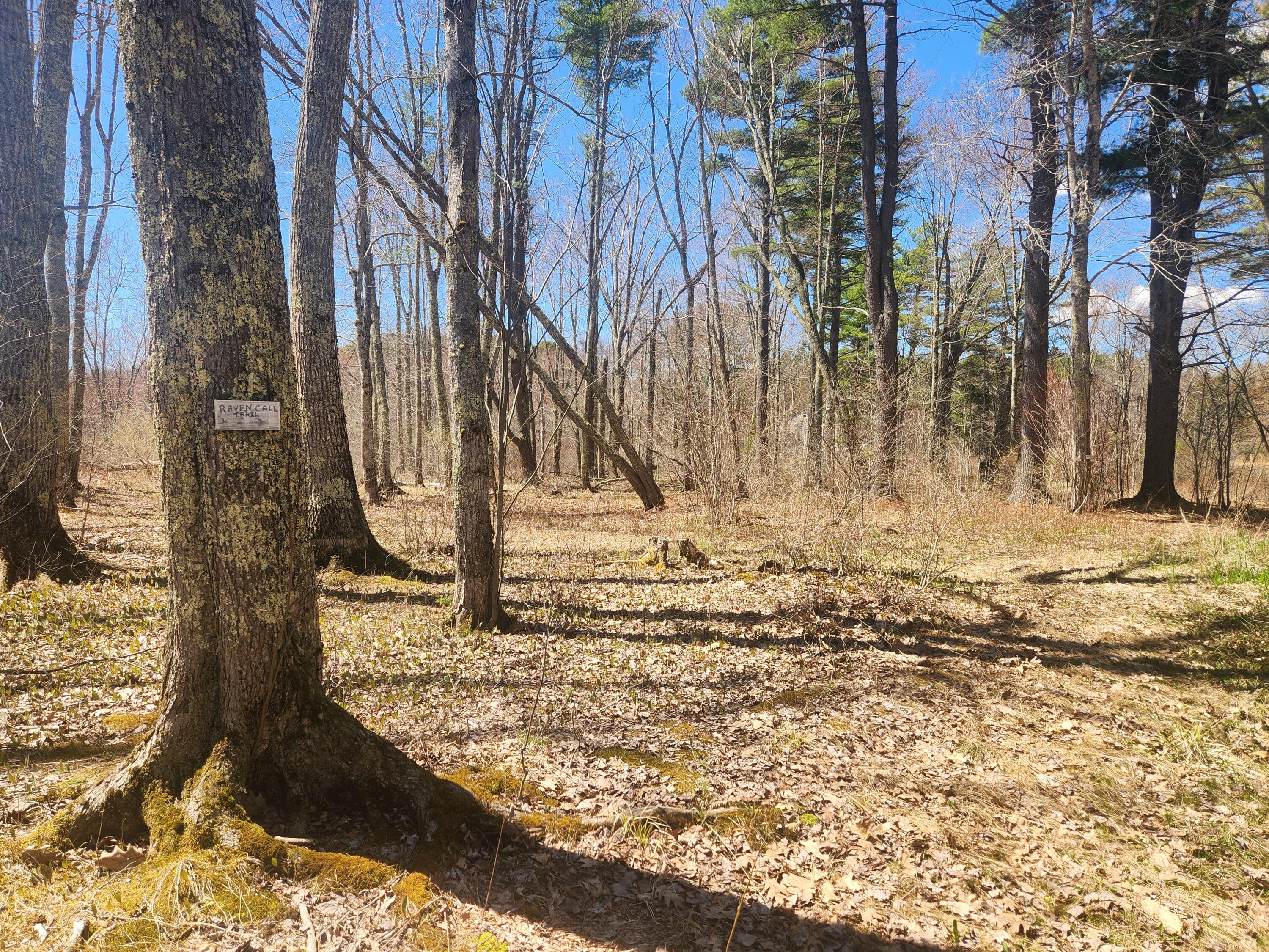 1257 North Pond Road Warren, ME 04864 - Photo 4 of 25 20260427_122207