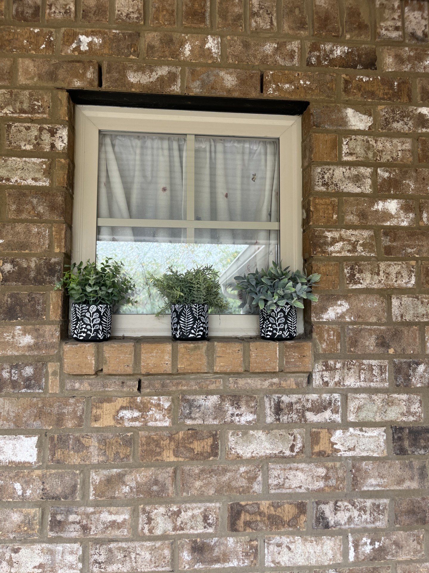 1012 Irish Way Spring Hill, TN 37174 - Photo 7 of 10