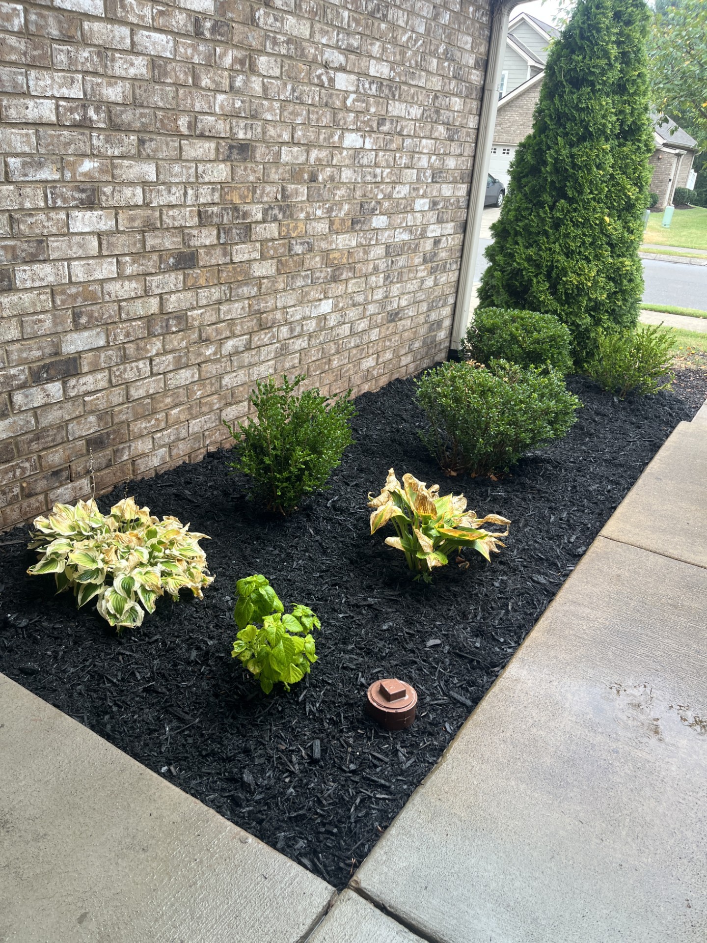 1012 Irish Way Spring Hill, TN 37174 - Photo 8 of 10