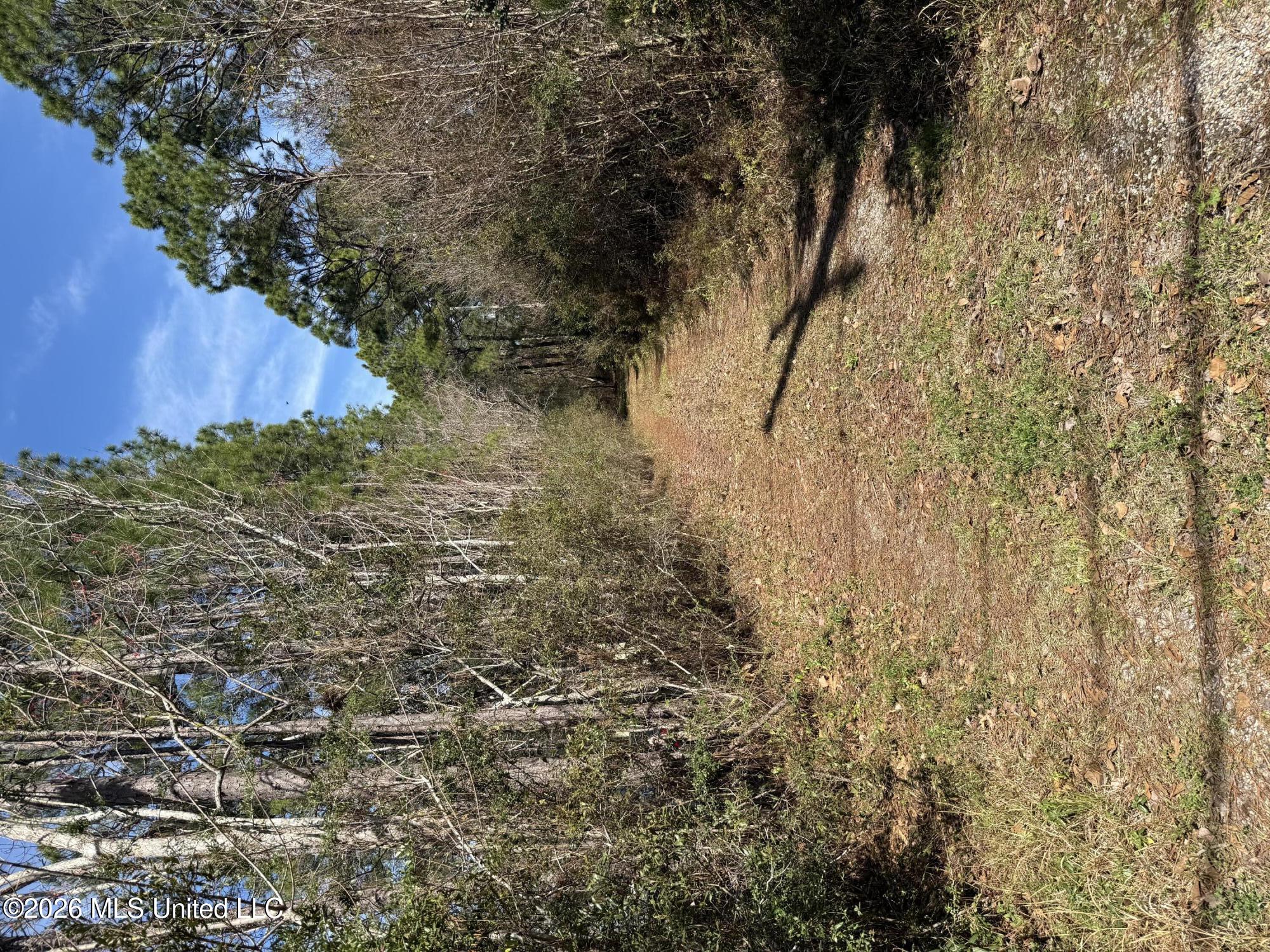 2112 Laurelglen Road Gautier, MS 39553 - Photo 2 of 28 IMG_9896