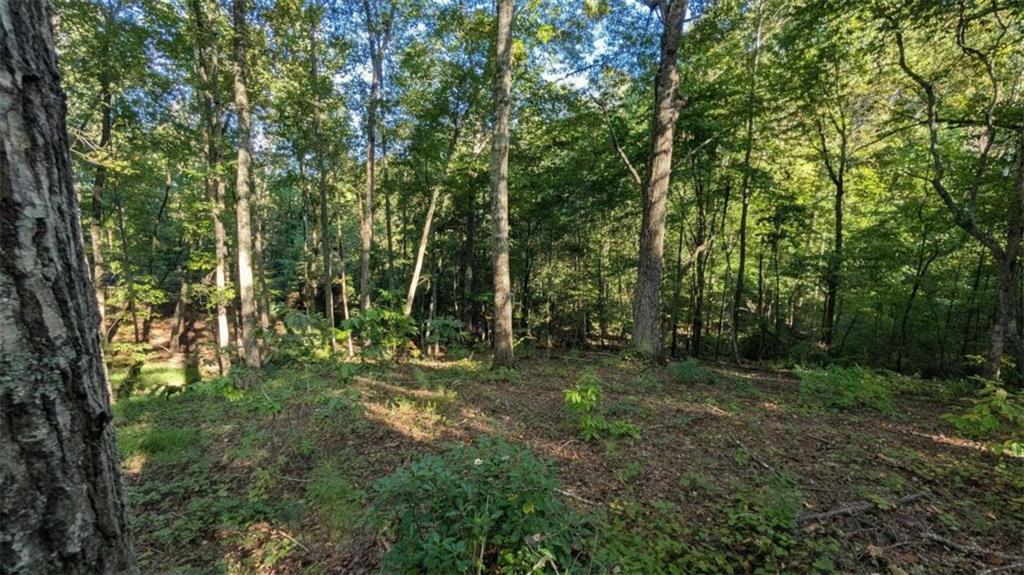 Lot 1 White Oak Circle Blue Ridge, GA 30513 - Photo 11 of 16 Gallery Image 11