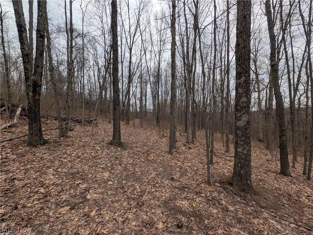 39000 Lees Run Road Cadiz, OH 43907 - Photo 22 of 49