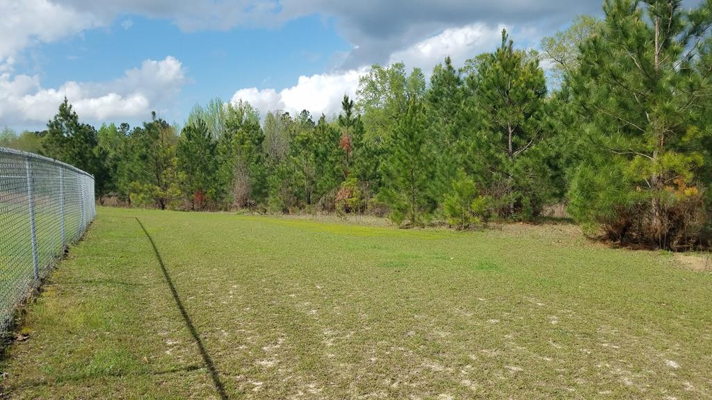 0 Tindal Road Waynesboro, GA 30830 - Photo 8 of 21