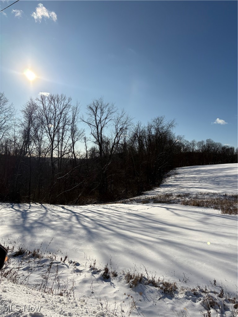 164 Township Road Bergholz, OH 43908 - Photo 8 of 26