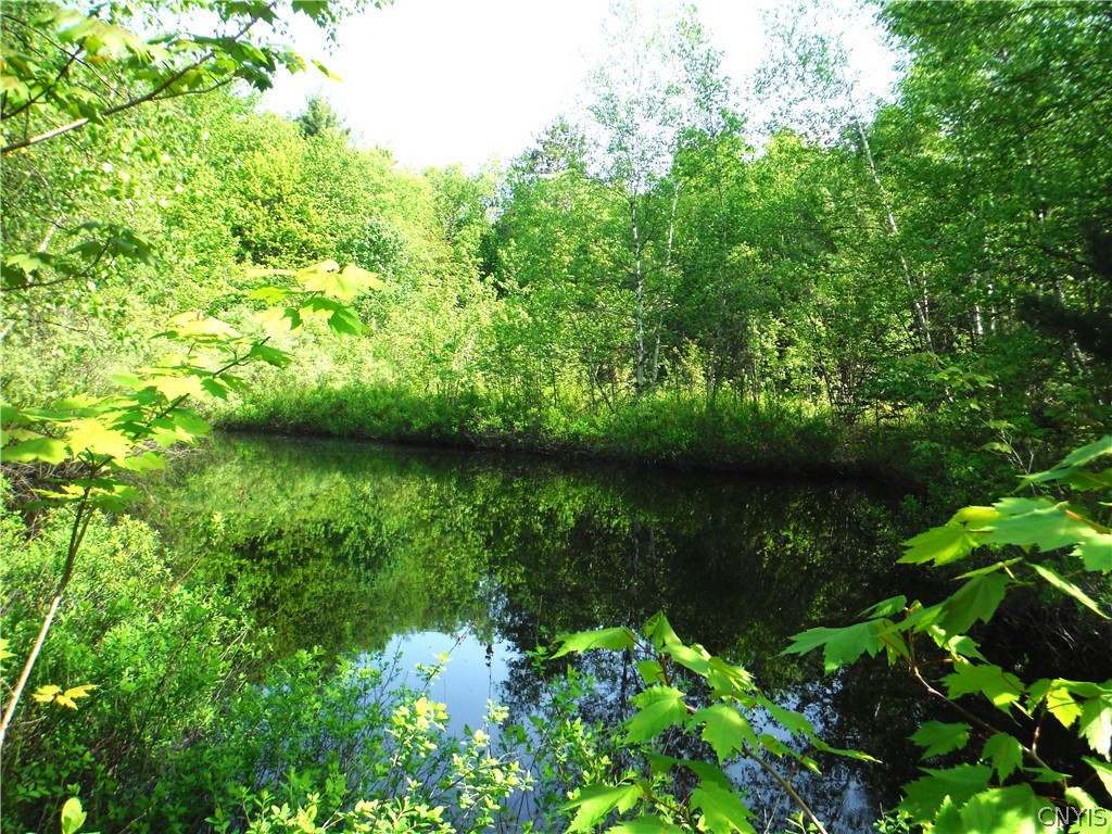 0 Croniser Road Constableville, NY 13325 - Photo 1 of 1 Stream area